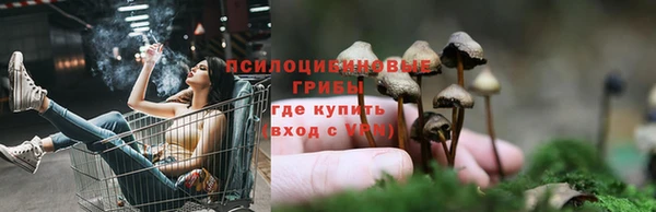 MESCALINE Вяземский