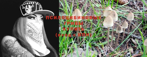 молекула духа Вязники