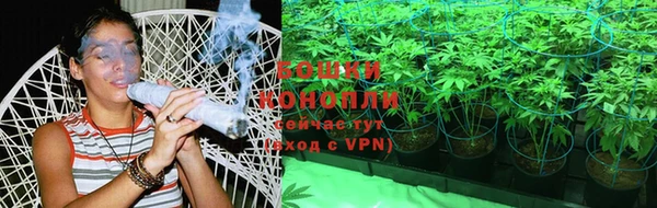 ПСИЛОЦИБИНОВЫЕ ГРИБЫ Вязьма