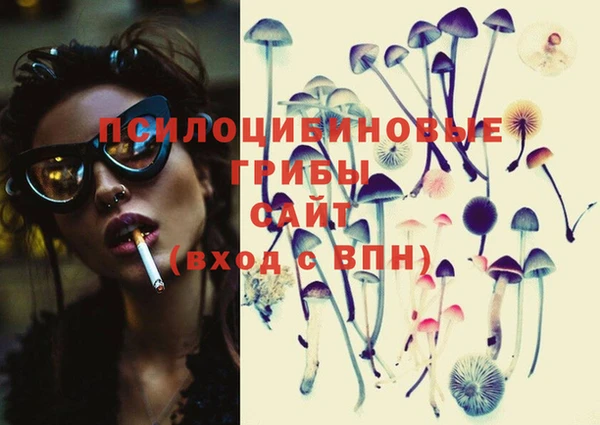 ПСИЛОЦИБИНОВЫЕ ГРИБЫ Вязьма