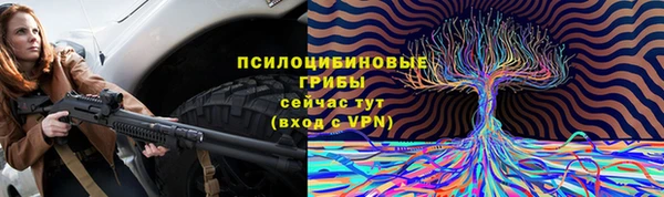 молекула духа Вязники