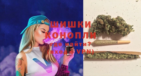 ПСИЛОЦИБИНОВЫЕ ГРИБЫ Вязьма
