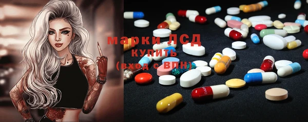ПСИЛОЦИБИНОВЫЕ ГРИБЫ Вязьма