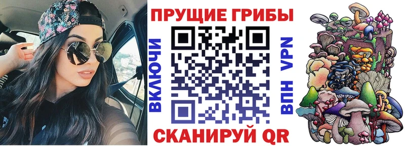 Купить где  Барабинск  Галлюциногенные грибы Psilocybine cubensis 
